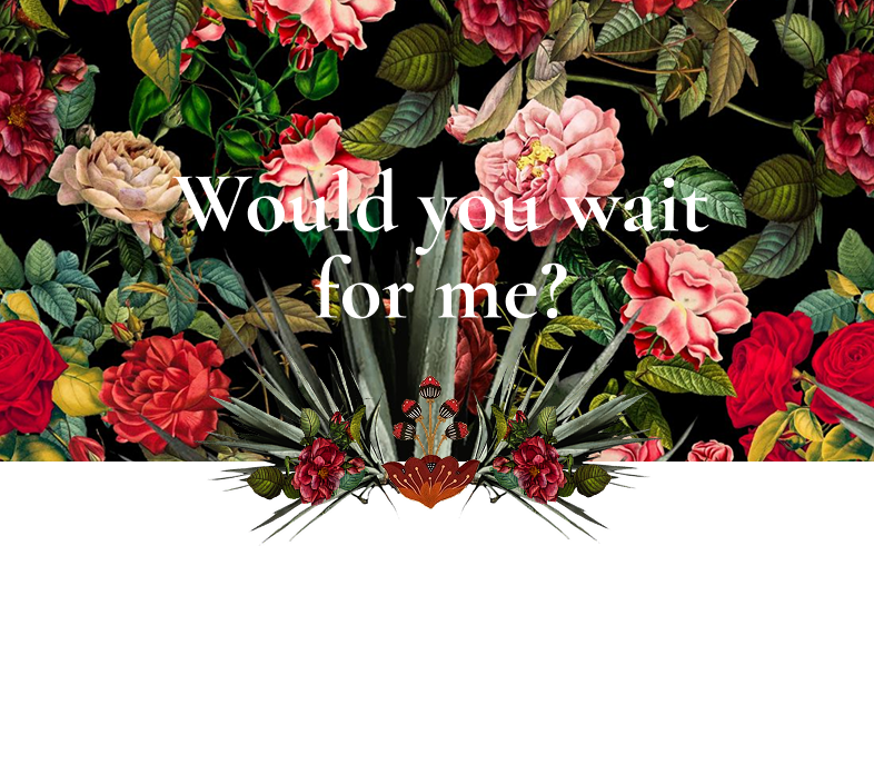 Decorative background